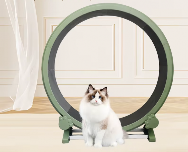 Cat Treadmill Claw Grinding Exercise Cat Wheel 1